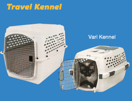 image (6)