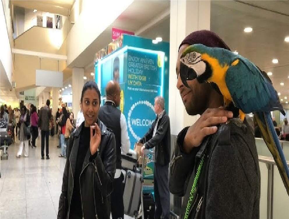 Parrot_at_airport_2_optimized