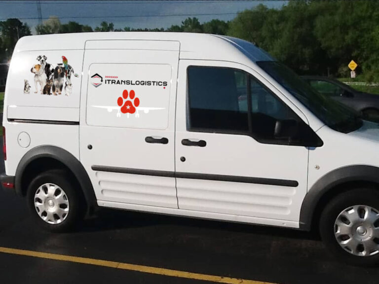 Pet delivery Van