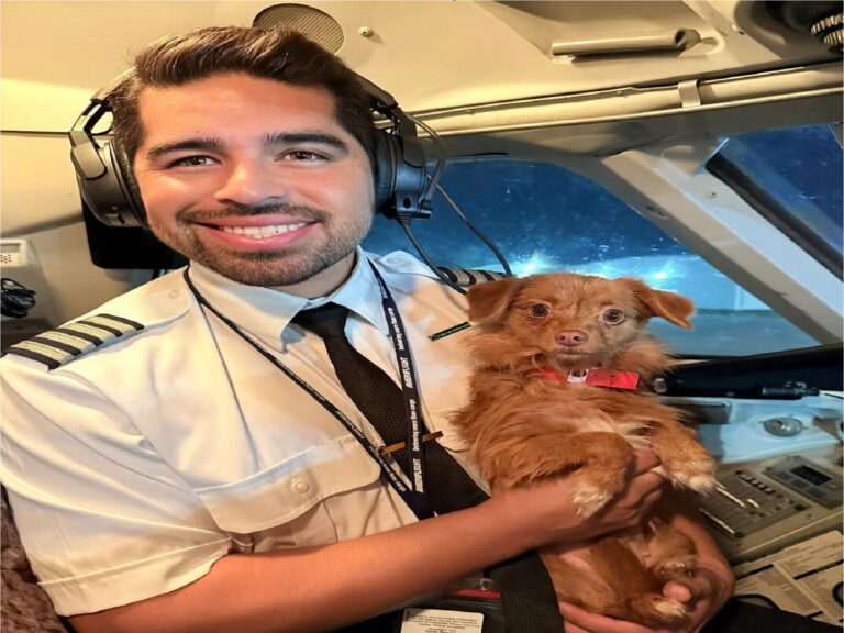 Pilot with poodle puppy