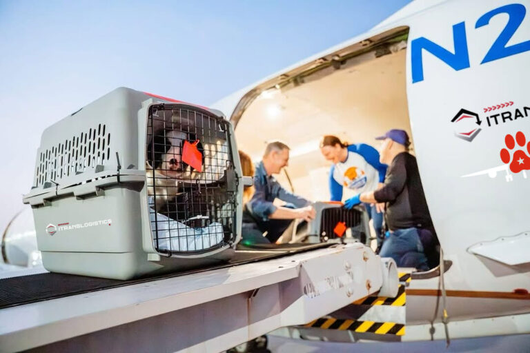 Untitled_41_optimized