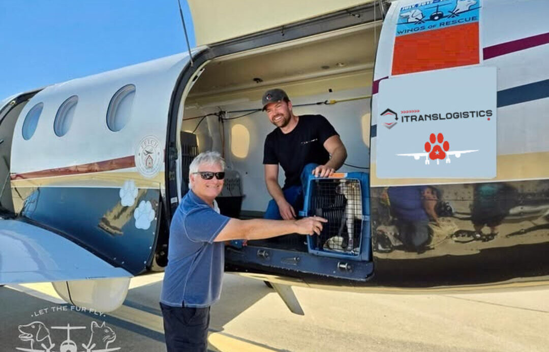 airport ITL delivery