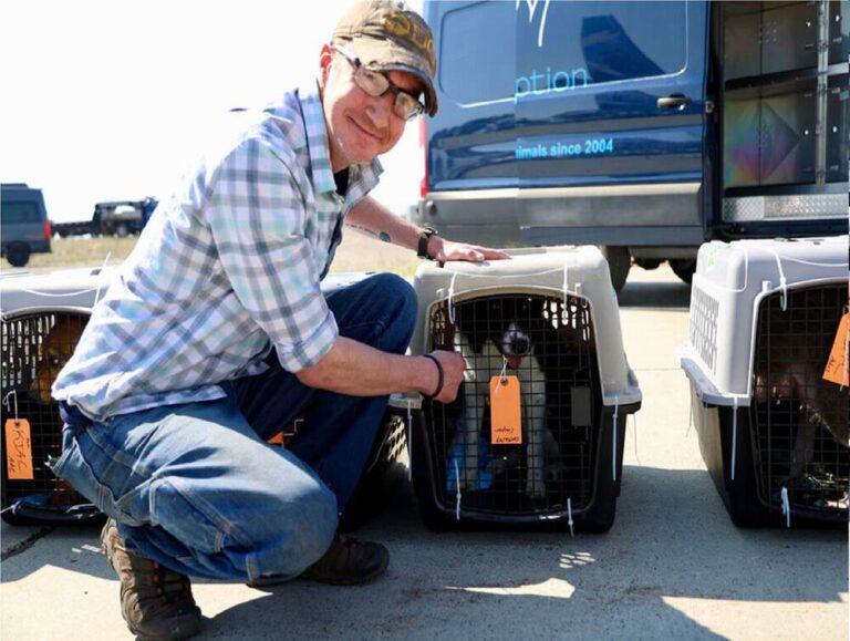 delivery_man_optimized