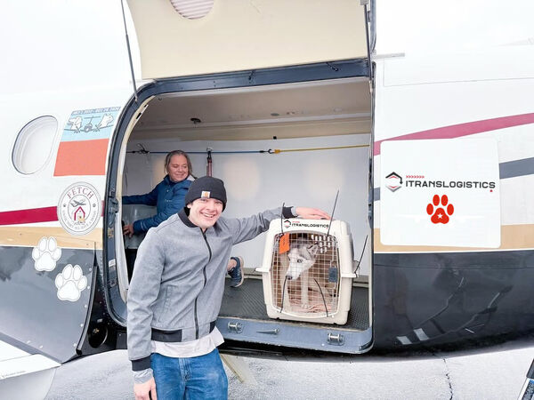 Client pikup dog at the airport