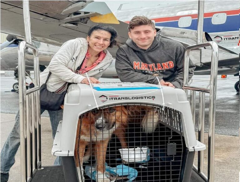 mom_and_son_received_dog_at_airport_1_optimized
