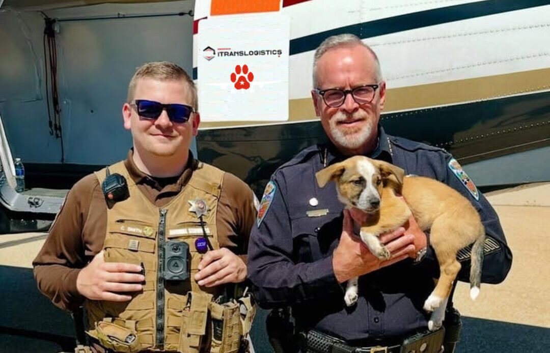 Dog delivery to Policeman at the airport