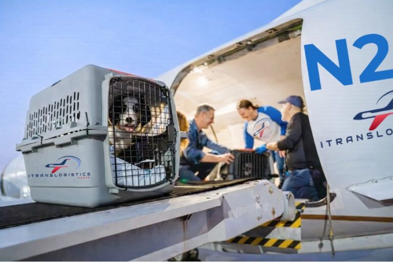 Plane itranslogistics