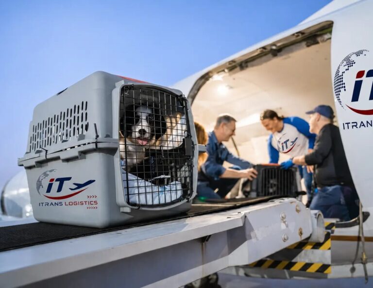Loading_pets_aboard